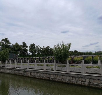 乐乡公墓传统墓