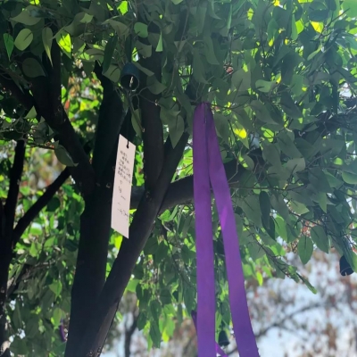 环保祭扫，莫负清明好时光